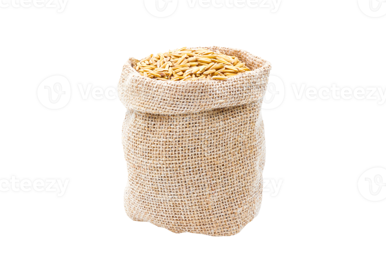 Rice of paddy Golden yellow in a sack on file png