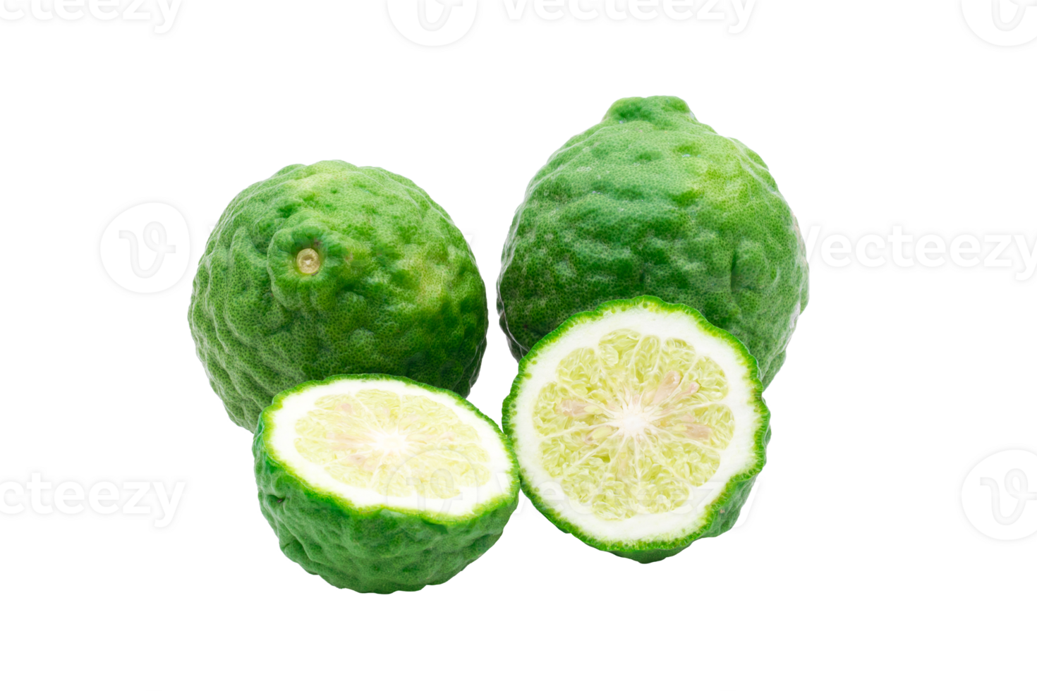 Bergamot medicinal plant on file png