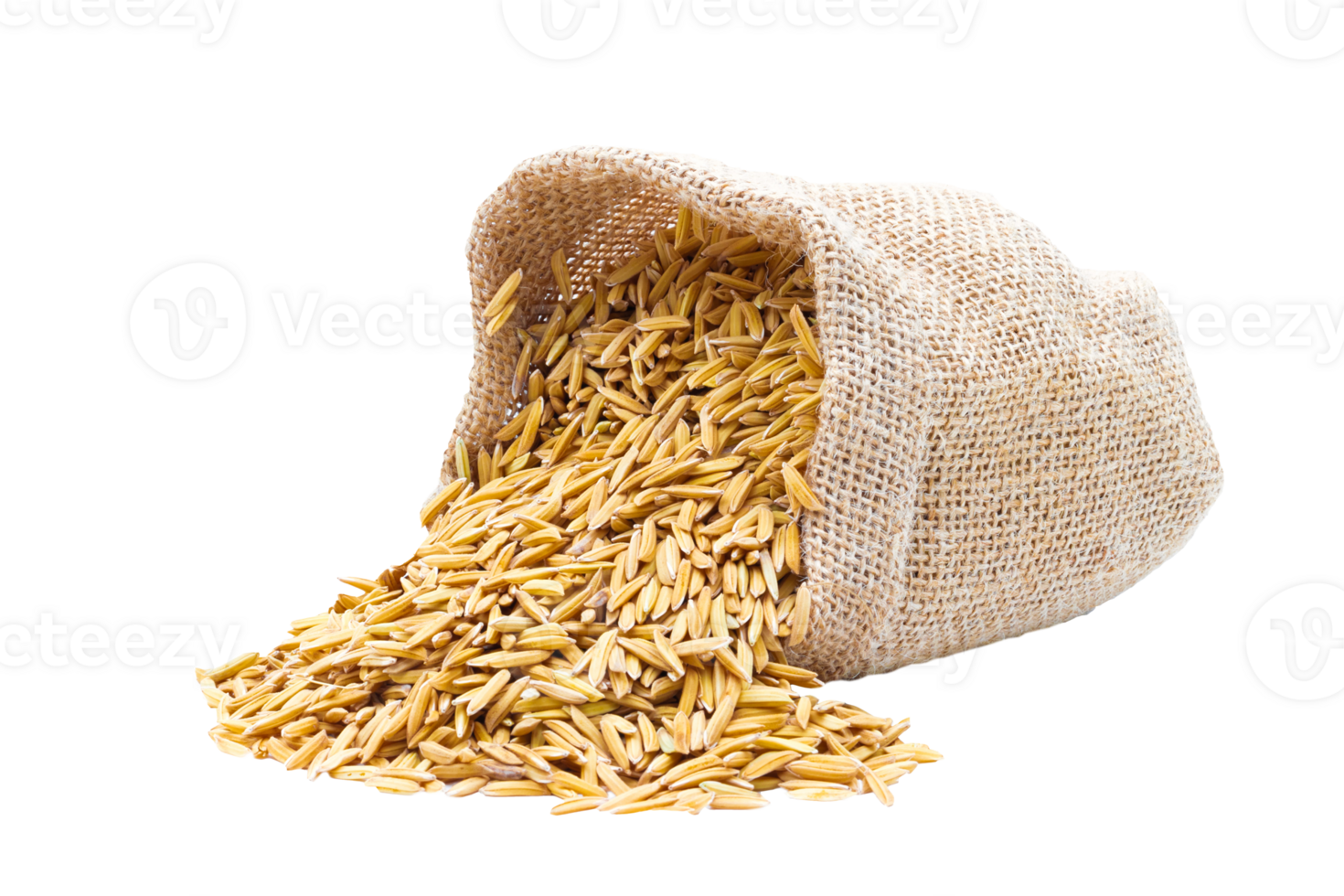 Rice of paddy Golden yellow in a sack on file png