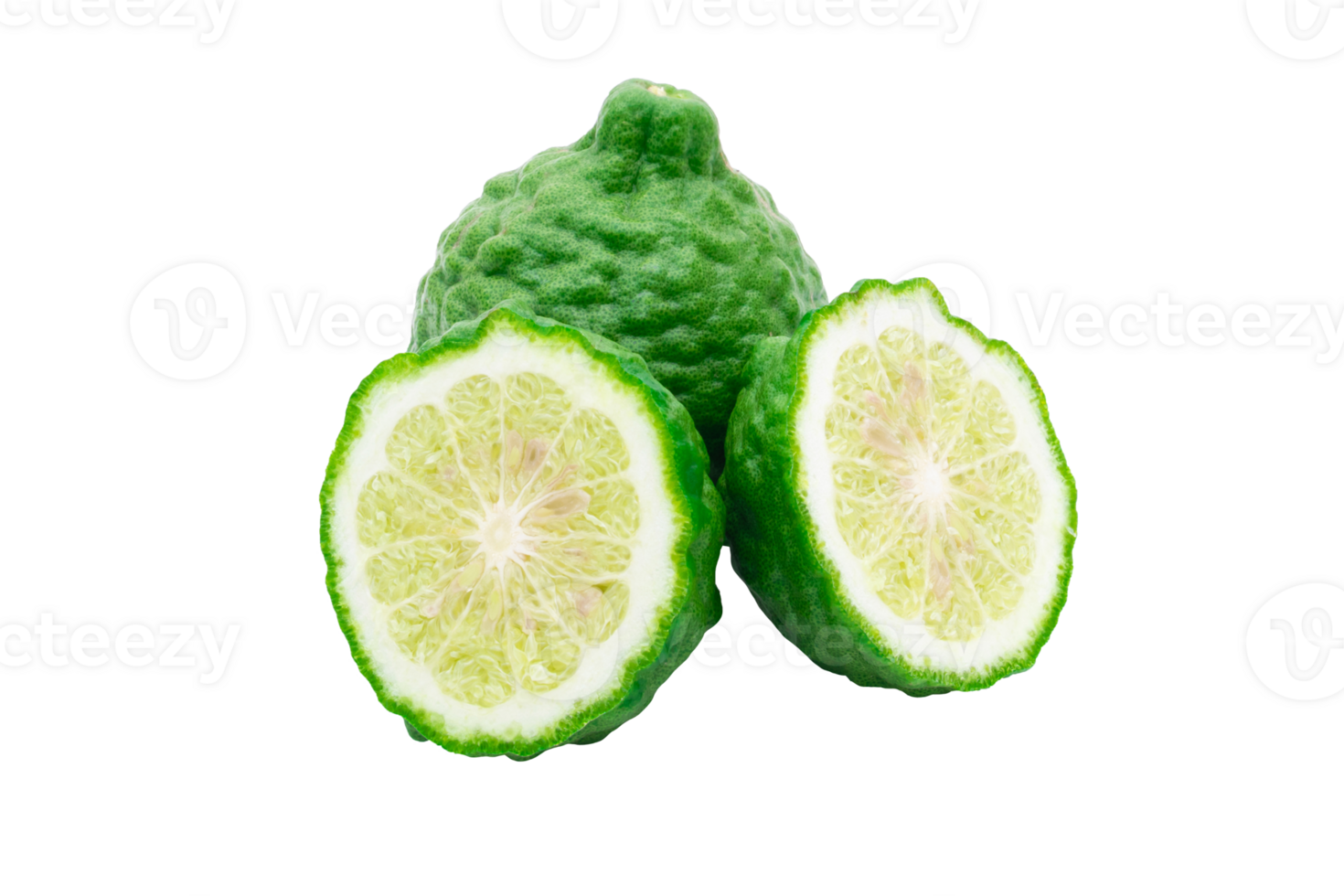 Bergamot medicinal plant on file png