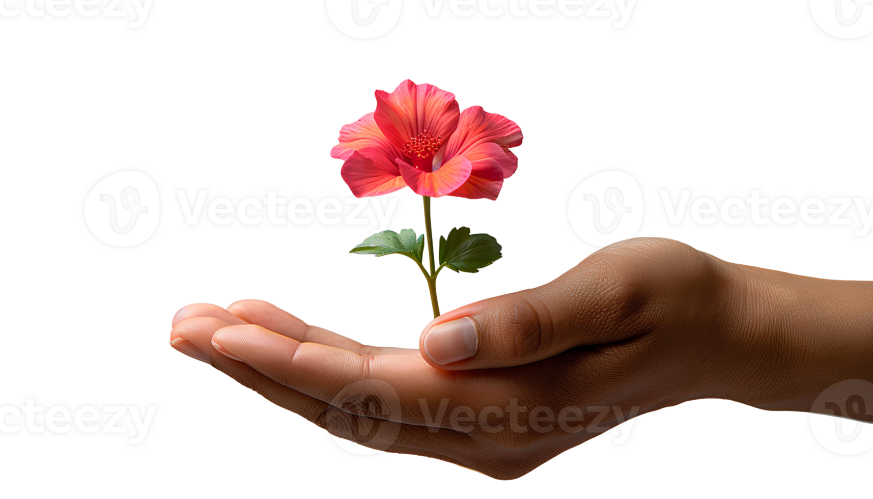 Hand holding a flower in celebration of World day. Hand with a flower as indication of bio-ecology. Colorful flower isolated png