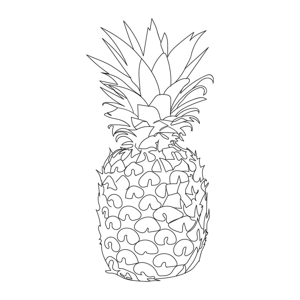 pineapple line art design vector