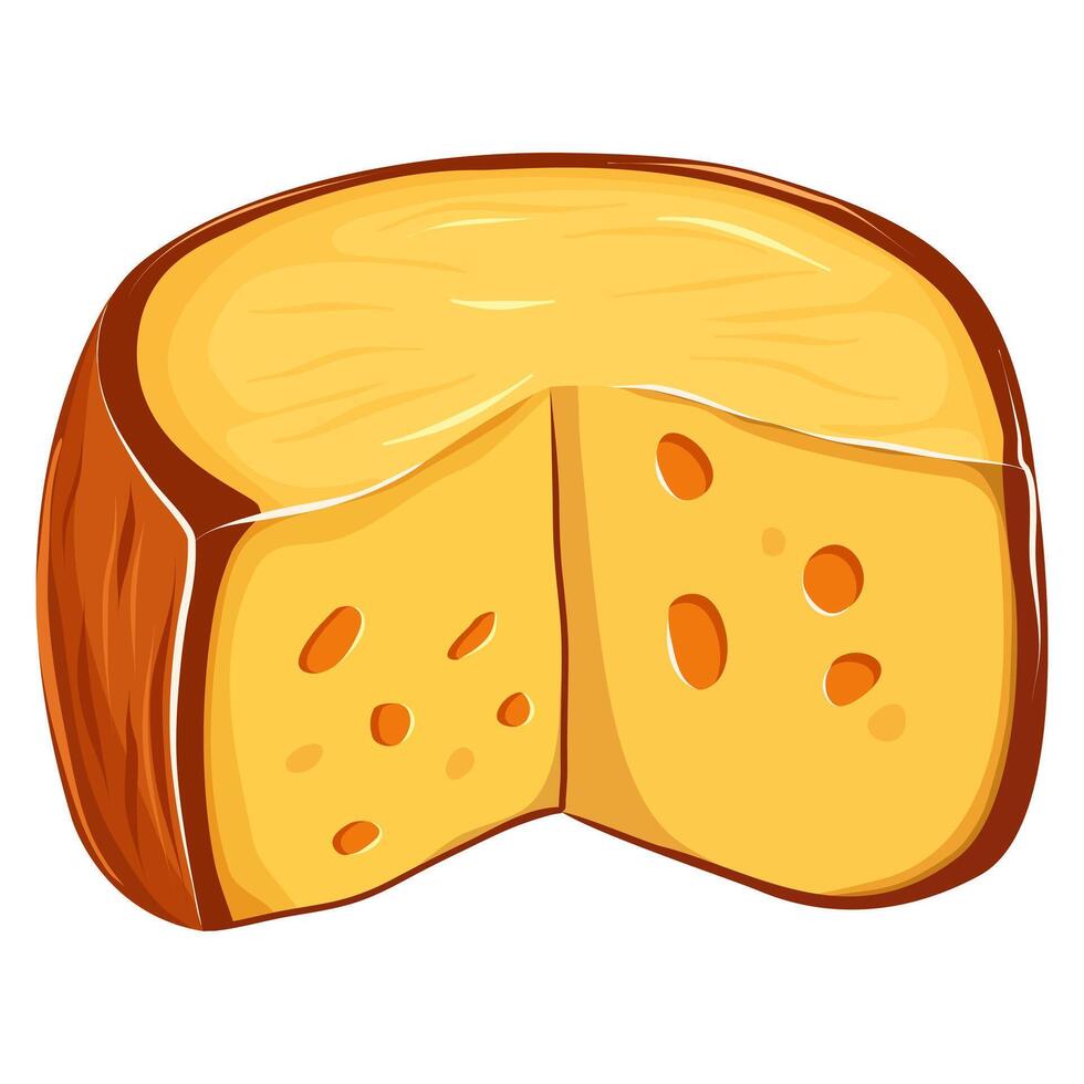 A piece of cheese. Illustration on a white background. vector