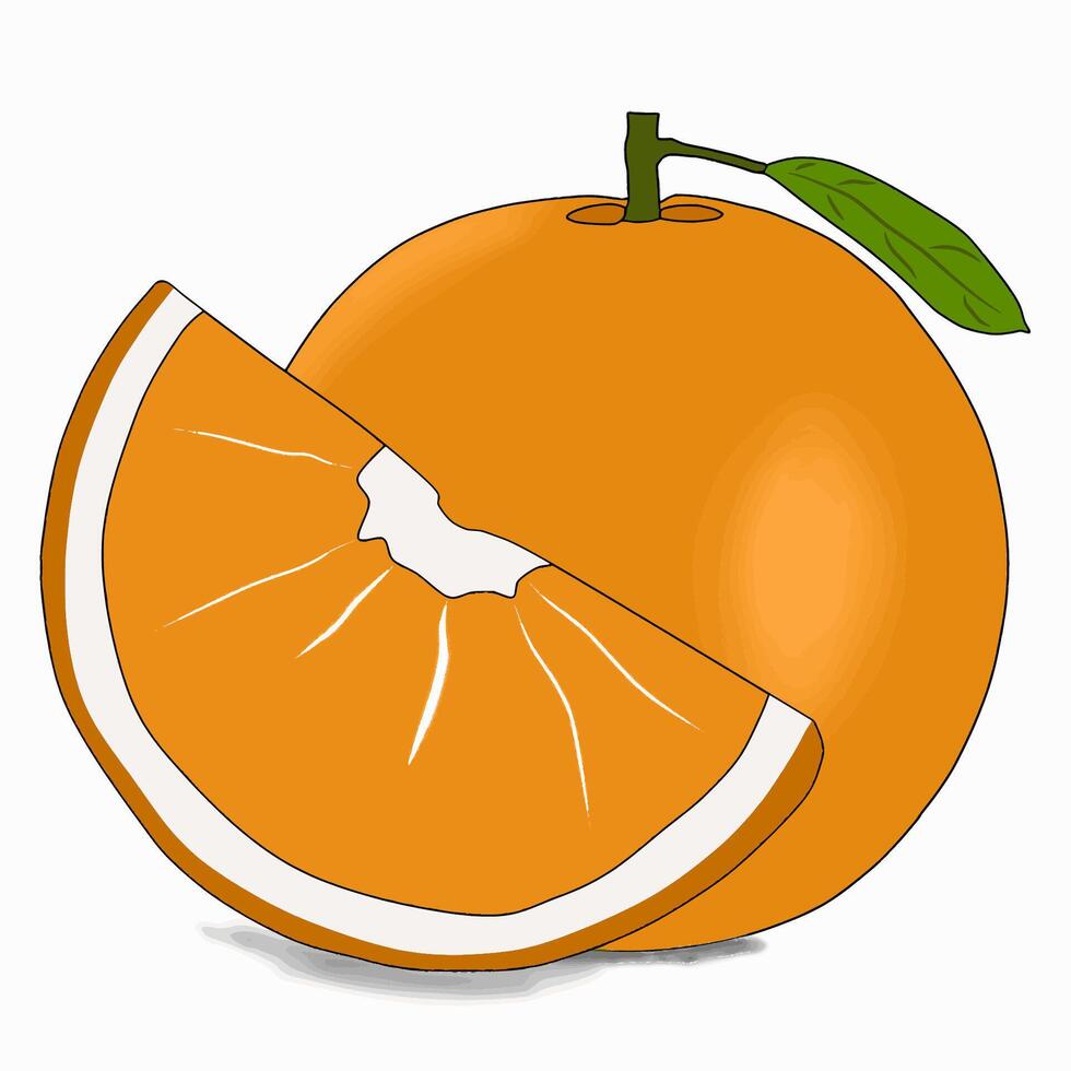 fresh orange fruit vector