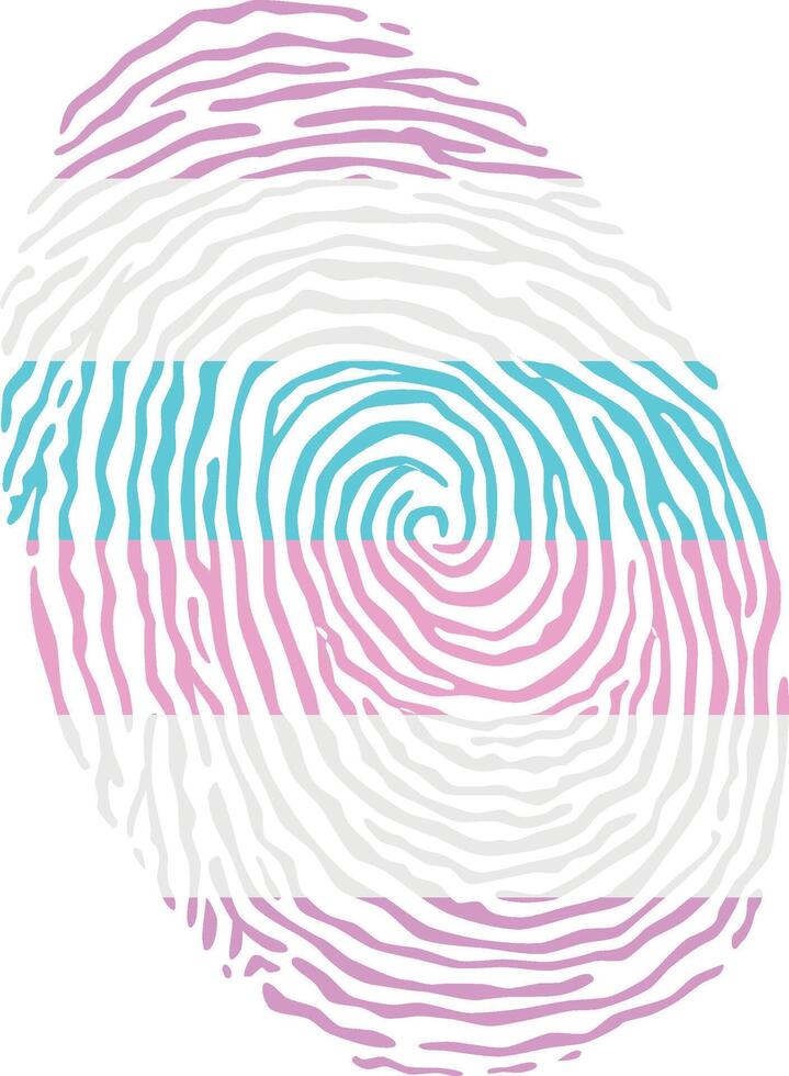 Fingerprint colored with the Bigender pride flag isolated on white background Illustration vector