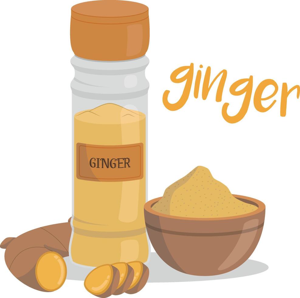 ginger illustration isolated in cartoon style. Herbs and Species Series vector