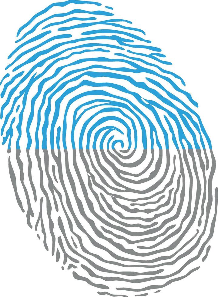 Fingerprint colored with the Autosexual pride flag isolated on white background Illustration vector