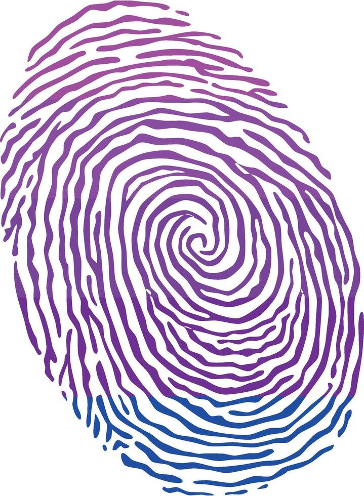 Fingerprint colored with the Transgender pride flag isolated on white background Illustration vector
