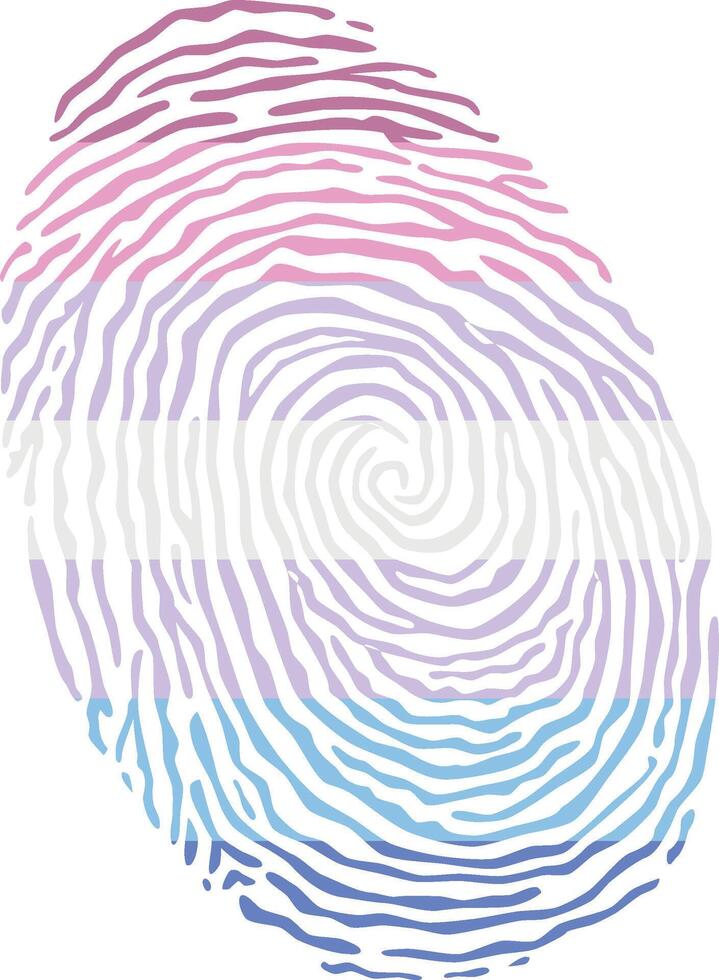 Fingerprint colored with the Bigender pride flag isolated on white background Illustration vector