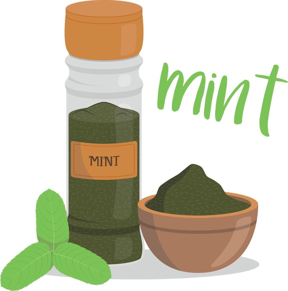 mint illustration isolated in cartoon style. Herbs and Species Series vector