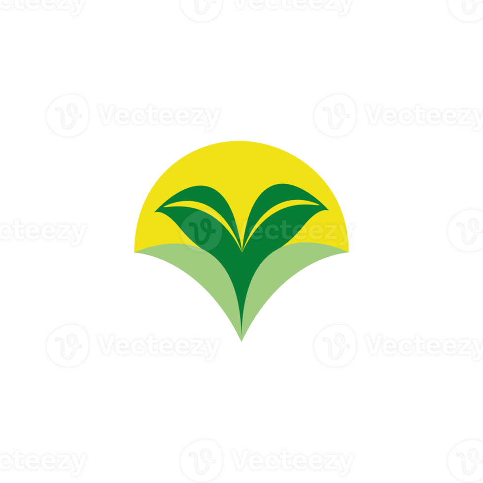 Leaf logo. Different shapes and colors of leaves, perfect for illustration, and various arts. png