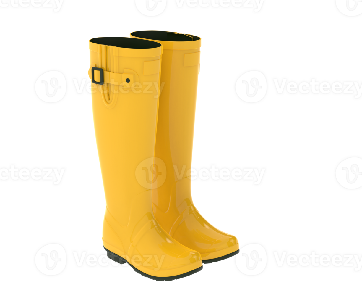 Rubber boots isolated on background. 3d rendering - illustration png