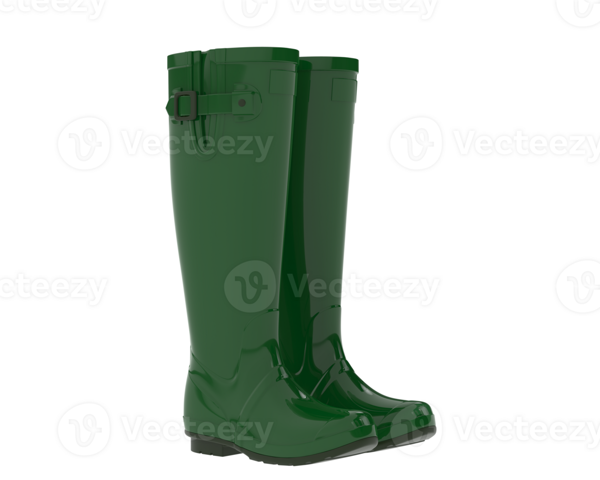 Rubber boots isolated on background. 3d rendering - illustration png