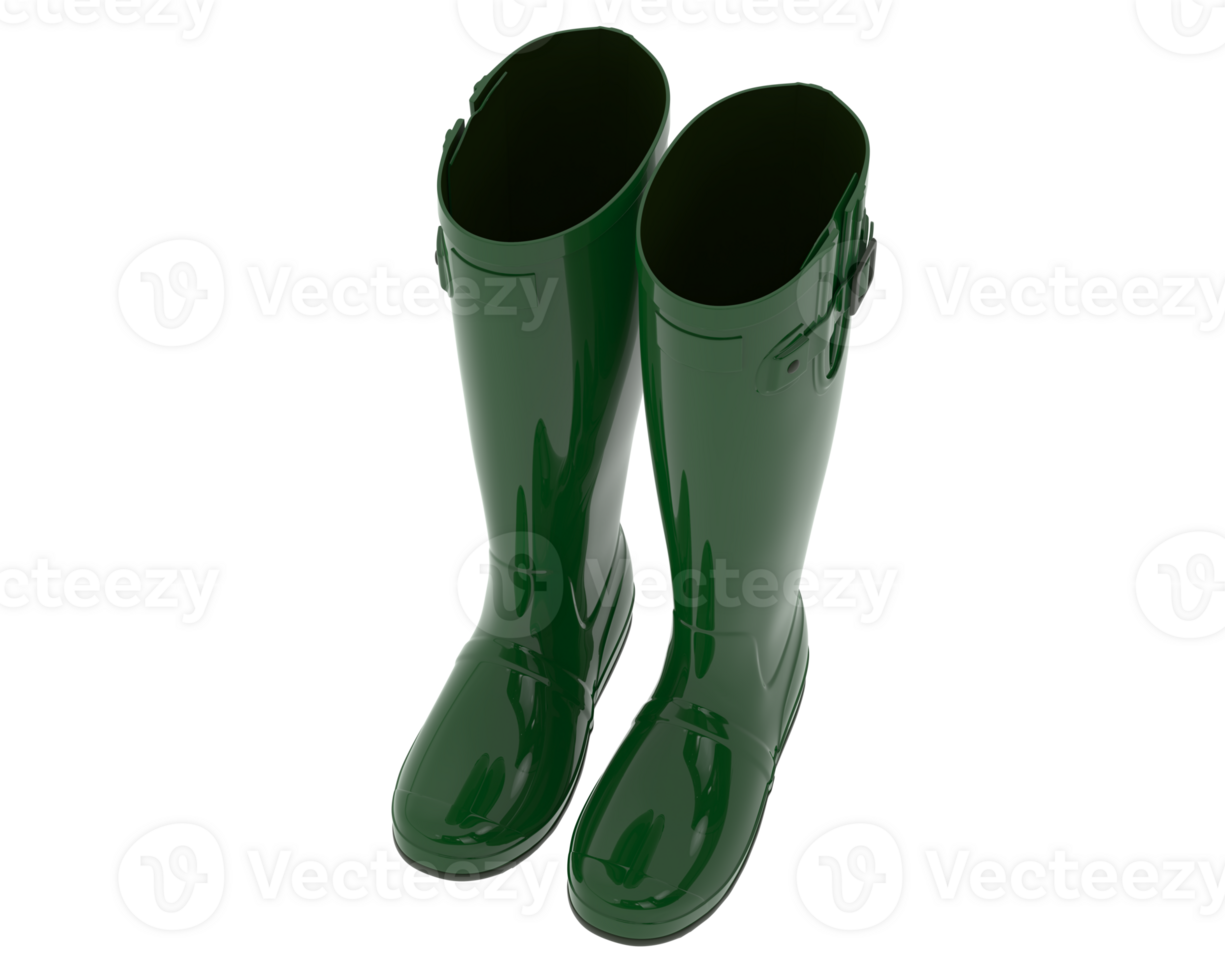 Rubber boots isolated on background. 3d rendering - illustration png