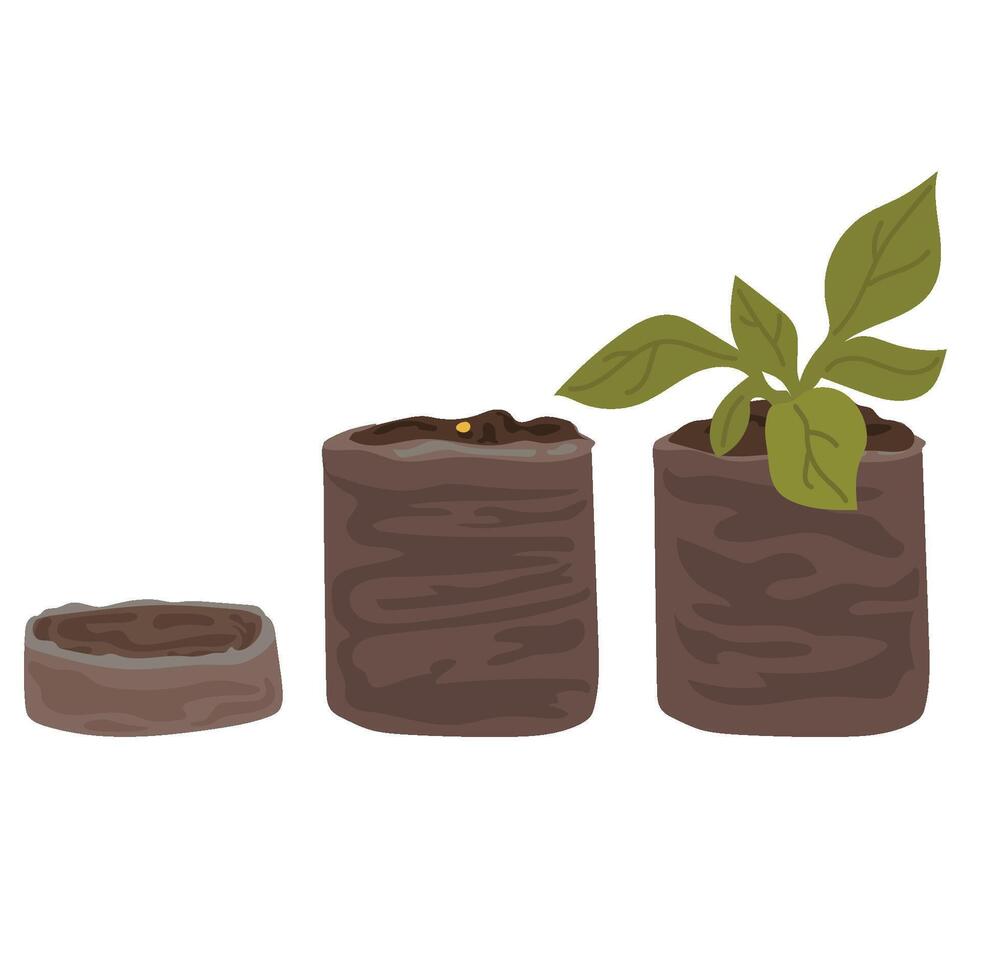 Soil in a tablet for growing seedlings. Agriculture vector