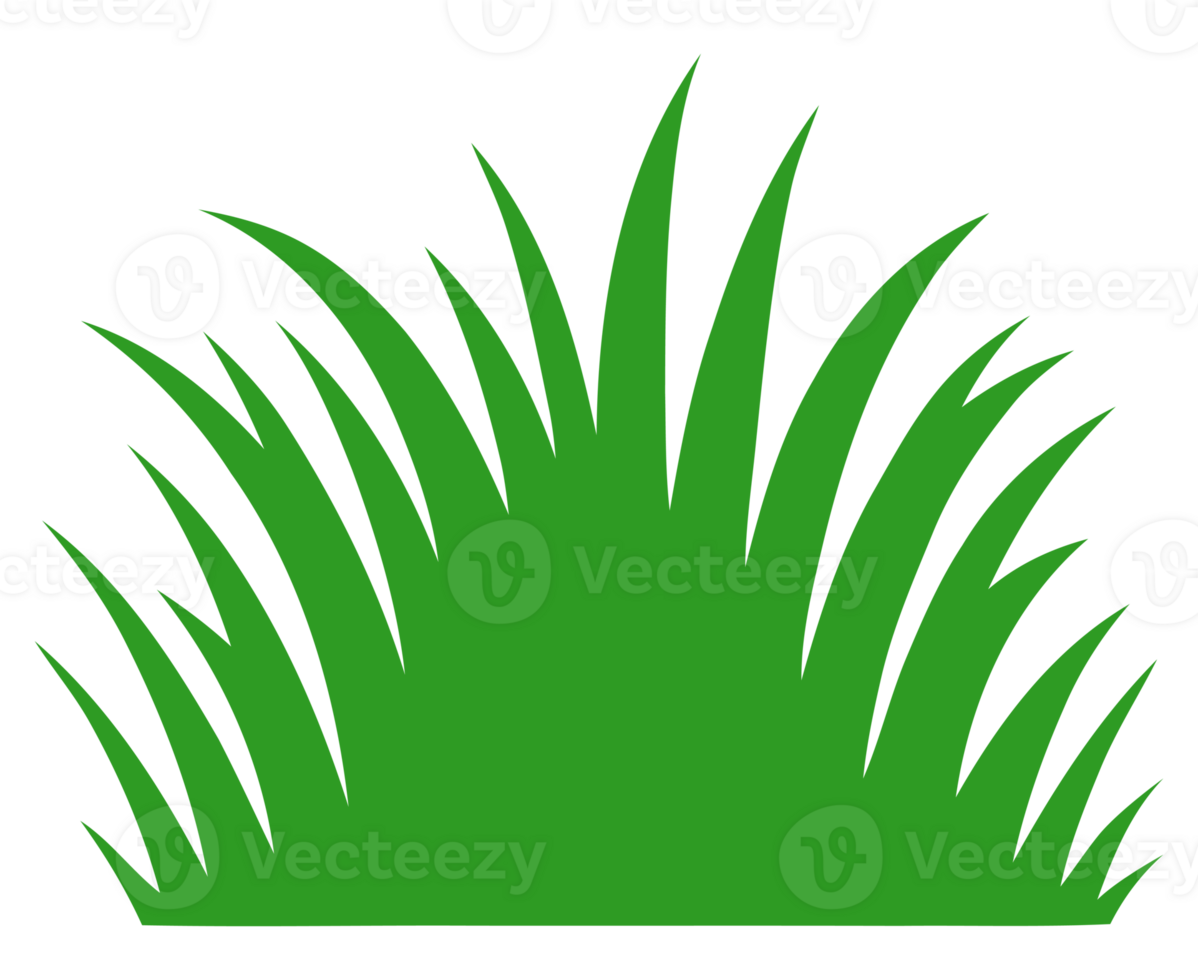 green grass illustration png
