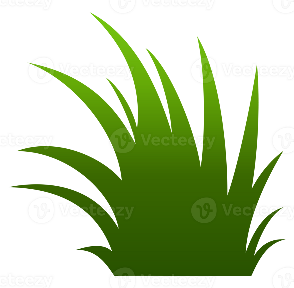 green grass illustration png