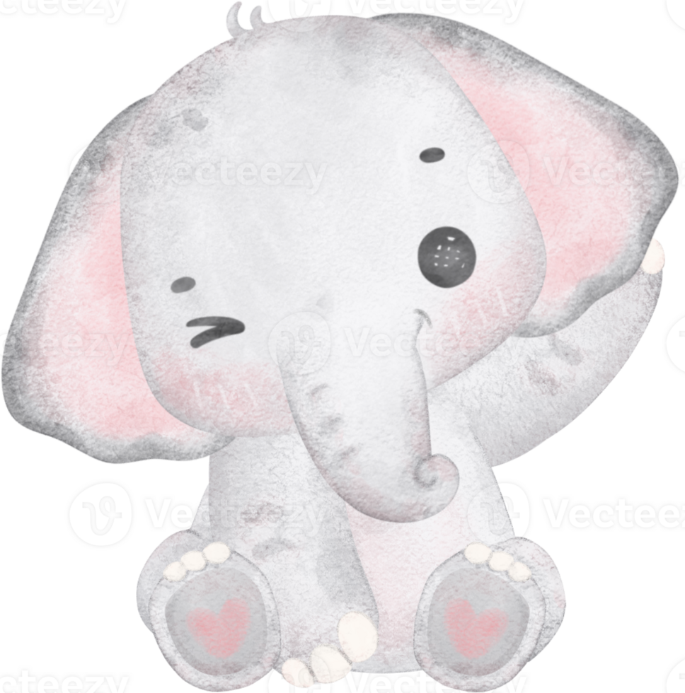 Cute baby elephant , tiny nursery animal watercolor png