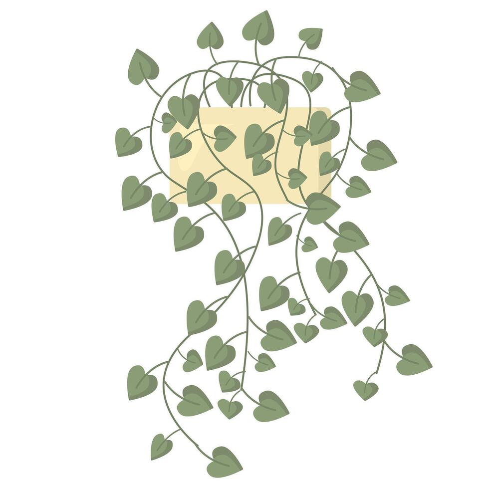 Green houseplant with many little leaves in flower pot isolated on white background vector