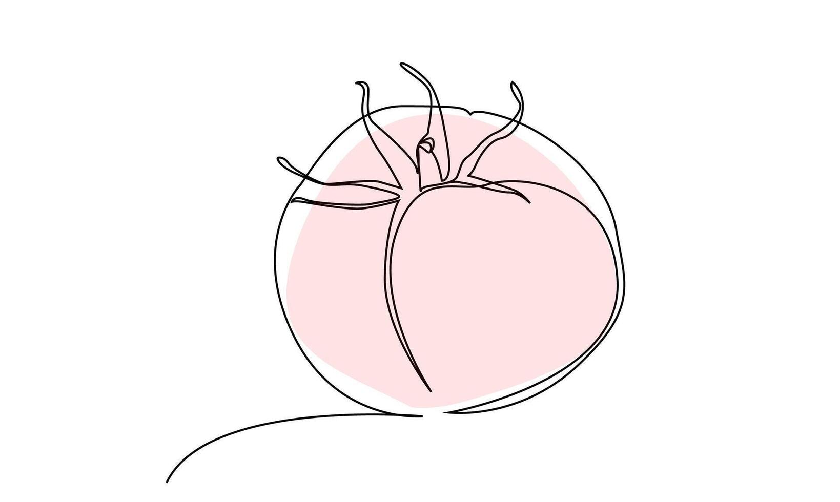 ripe fresh one tomato fruit vegetable line art vector