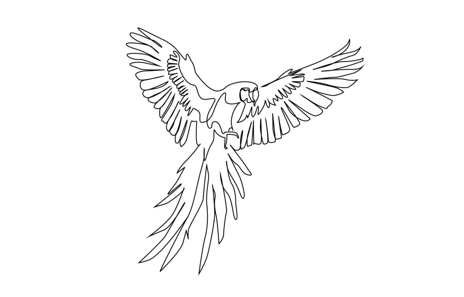 bird animal parrot flying wings line art vector