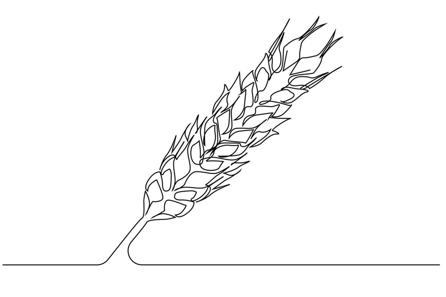 overgrown fresh organic wheat grain agriculture minimalist line art vector