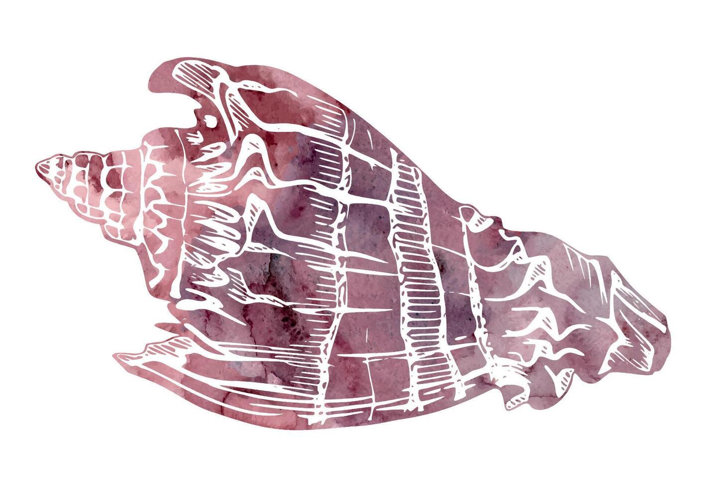 Watercolor and ink hand drawn marine life, sea ocean underwater creatures. fish, shells algae seaweed. Single object illustration, stylized, isolated on white. Zoo shop, aquarium, cosmetics, resort vector