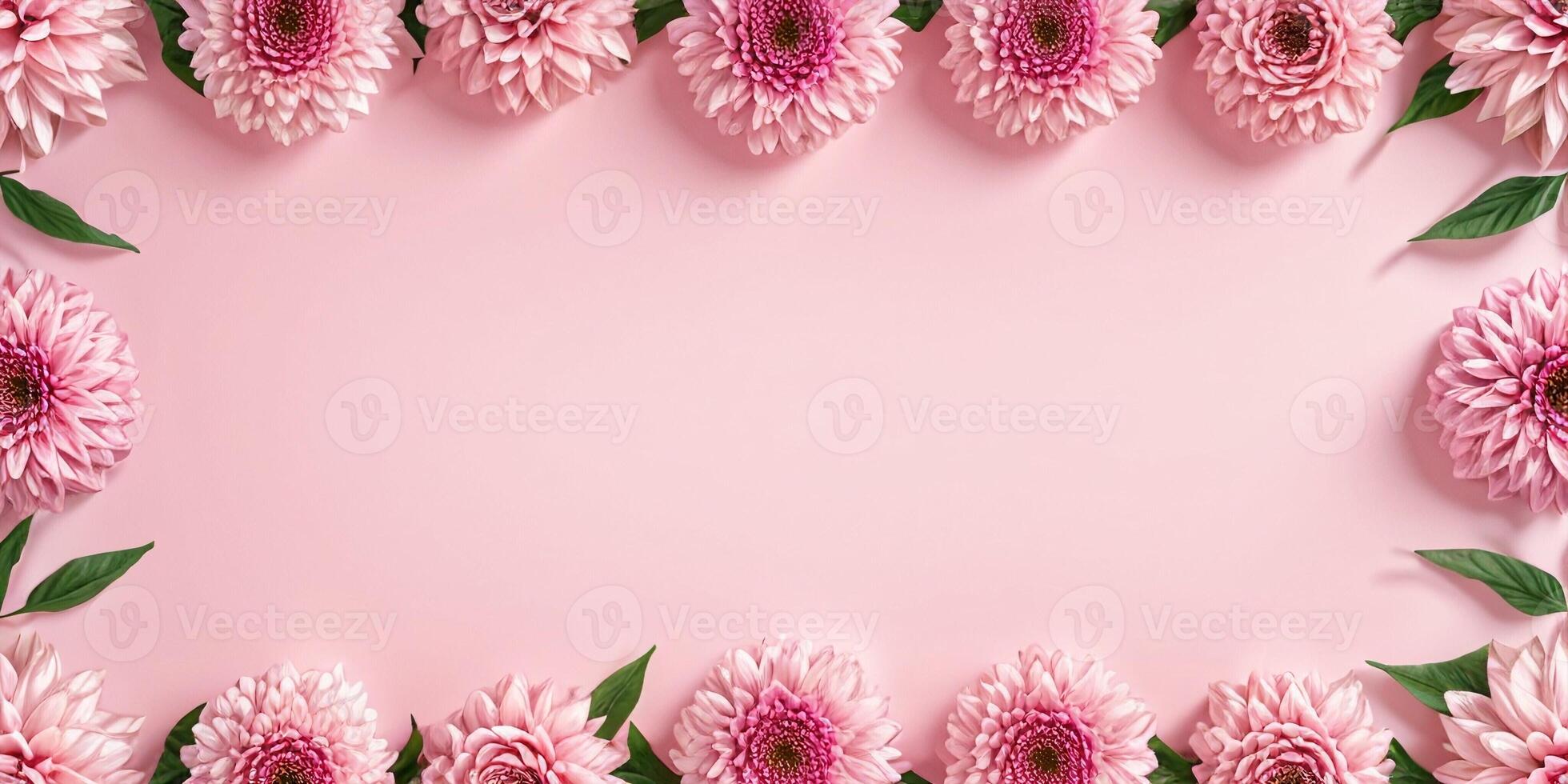 a frame of pink dahlias photo