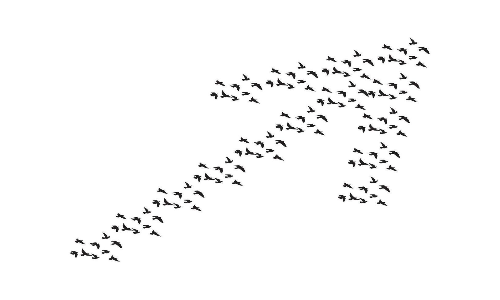 Flying Birds Design vector