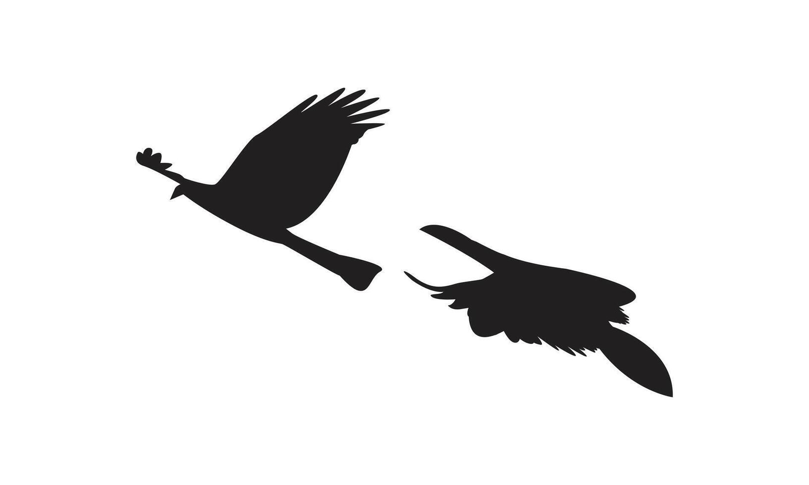 Flying Birds Design. vector