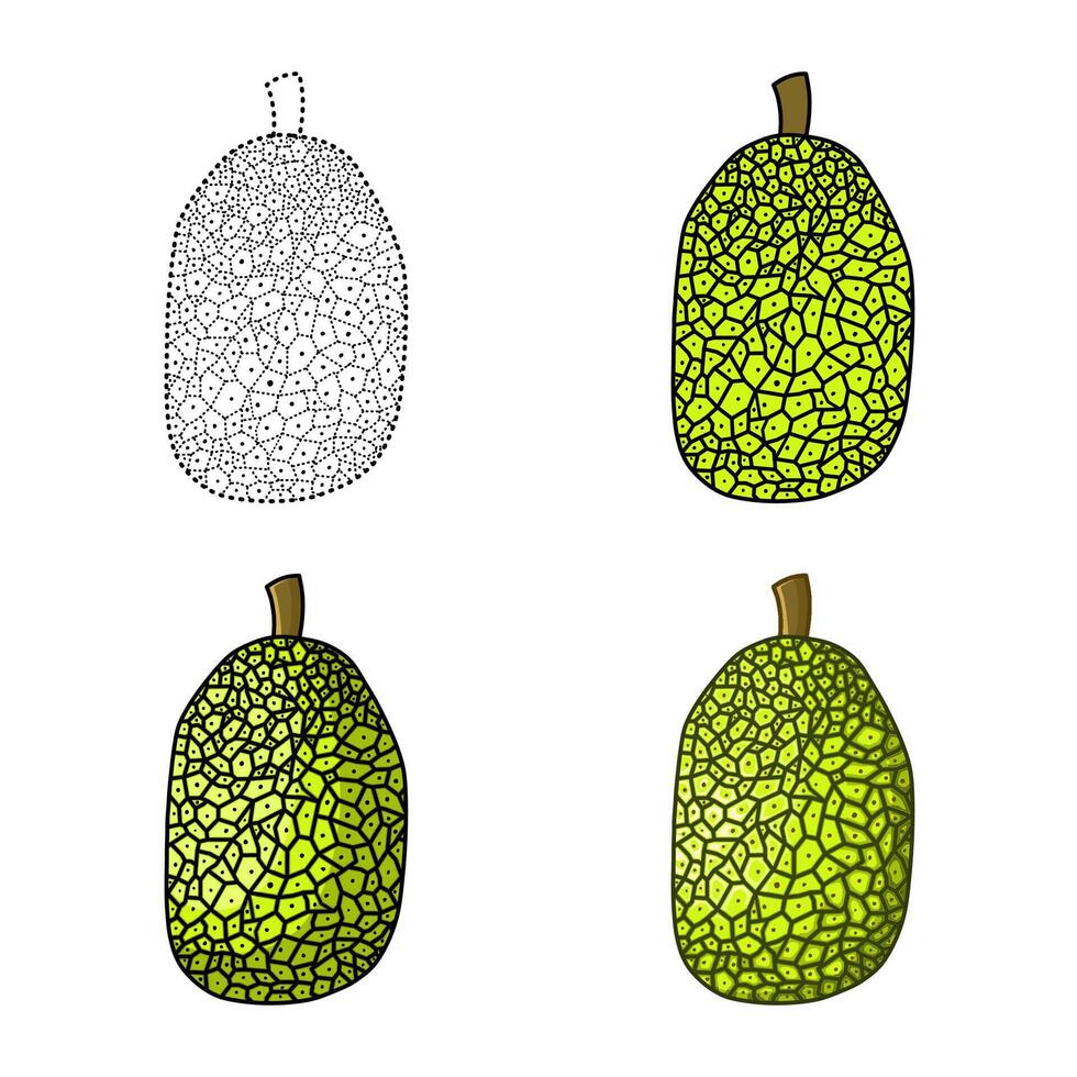 jack fruit set illustration vector