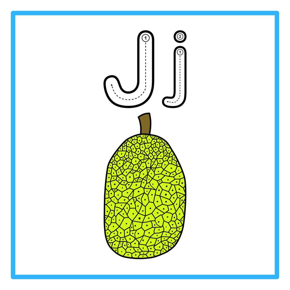 tracing alphabet flat jack fruit illustration vector