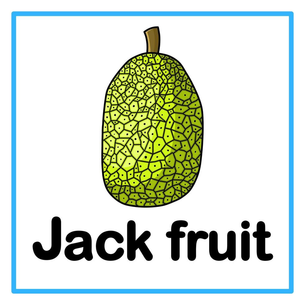 jack fruit alphabet illustration vector
