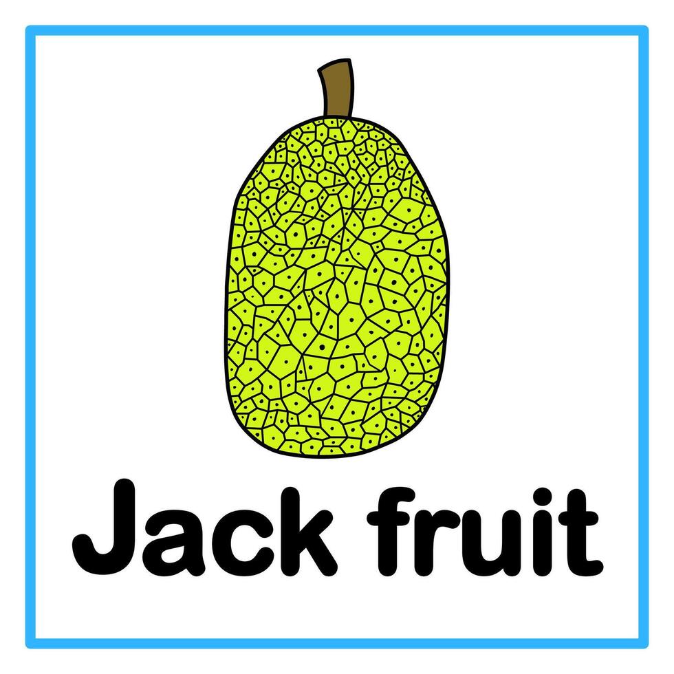 flat jack fruit alphabet illustration vector