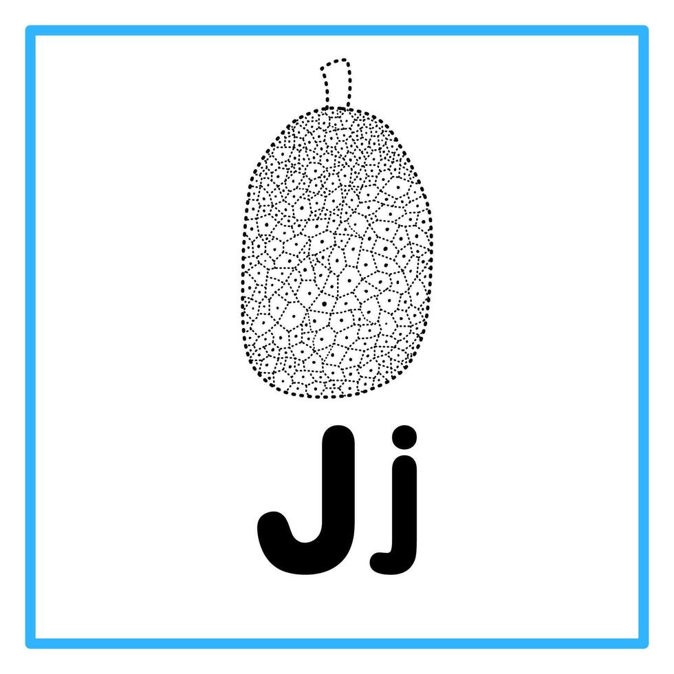 tracing jack fruit alphabet illustration vector