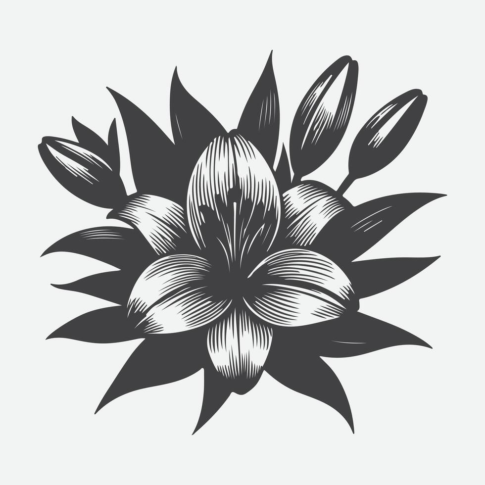Print Elegant Lily Flower Silhouette, Timeless Beauty in Black and White vector