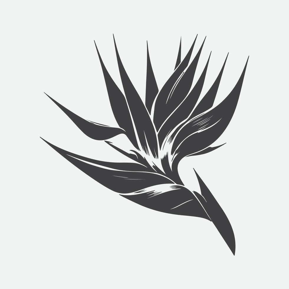 Print Exquisite Silhouette of the Bird of Paradise Flower, A Botanical Masterpiece vector