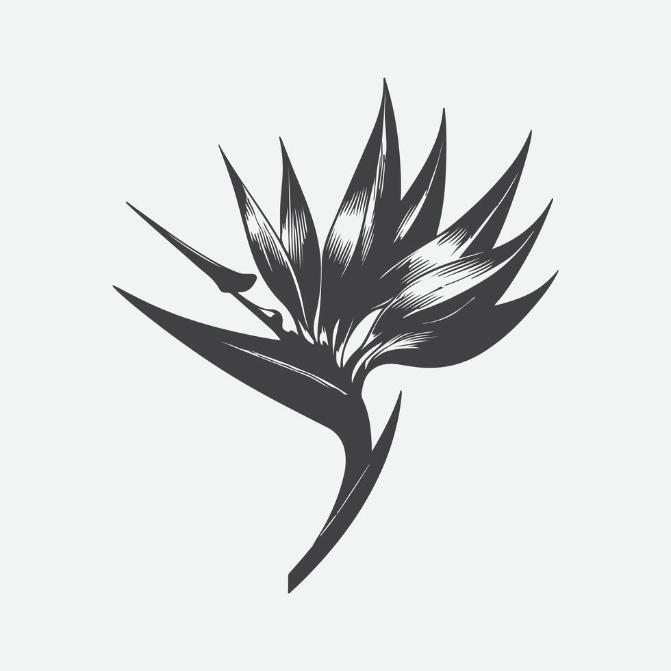 Print Exquisite Silhouette of the Bird of Paradise Flower, A Botanical Masterpiece vector