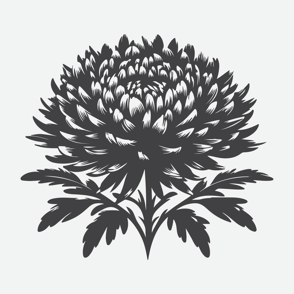 Print Captivating Silhouette of Aster Flowers, Nature's Elegant Shadows vector