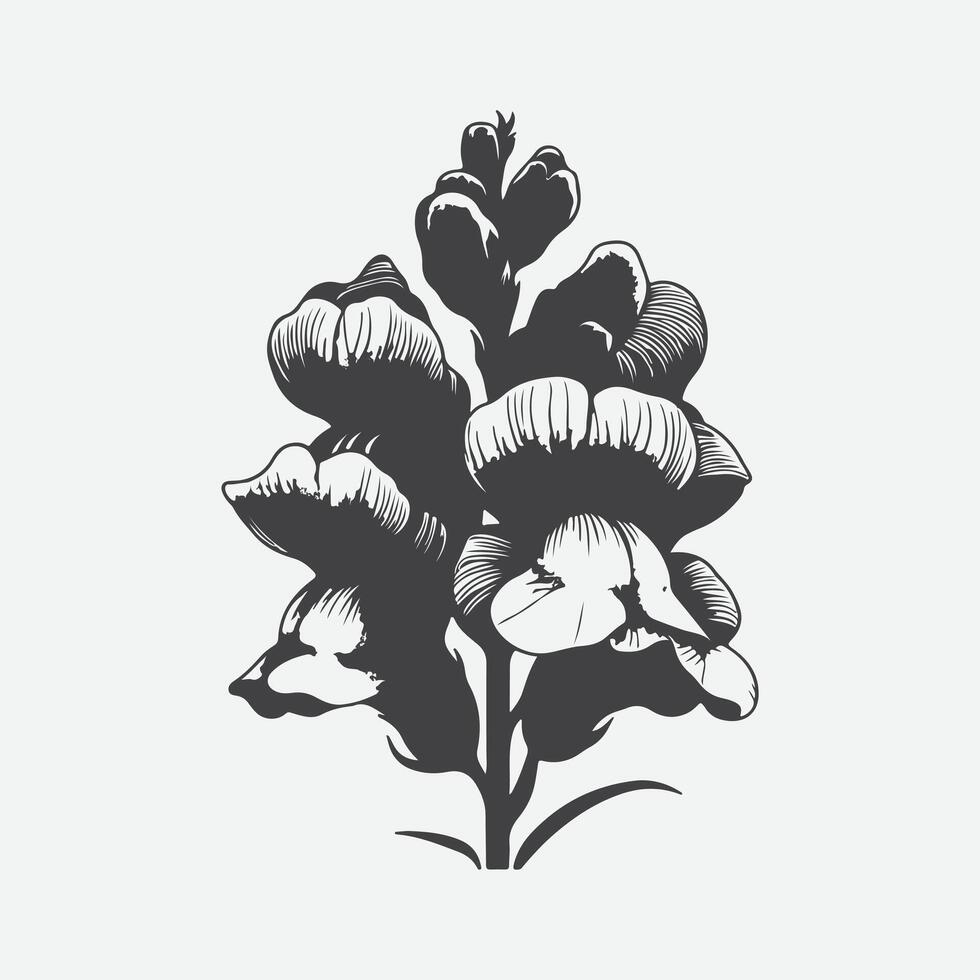 Print Elegant Snapdragon Flower Silhouette, A Timeless Floral Icon vector