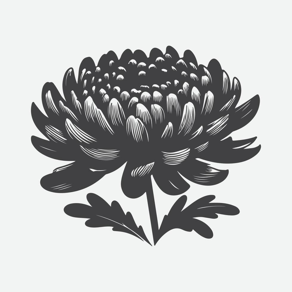 Elegant Chrysanthemum Flower Silhouette, A Timeless Floral Art vector