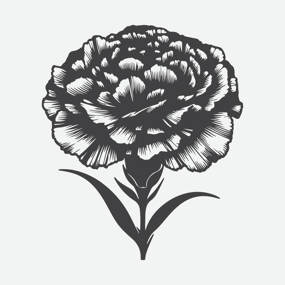 Print Captivating Carnation Flower Silhouettes, Artistry in Floral Shadows vector