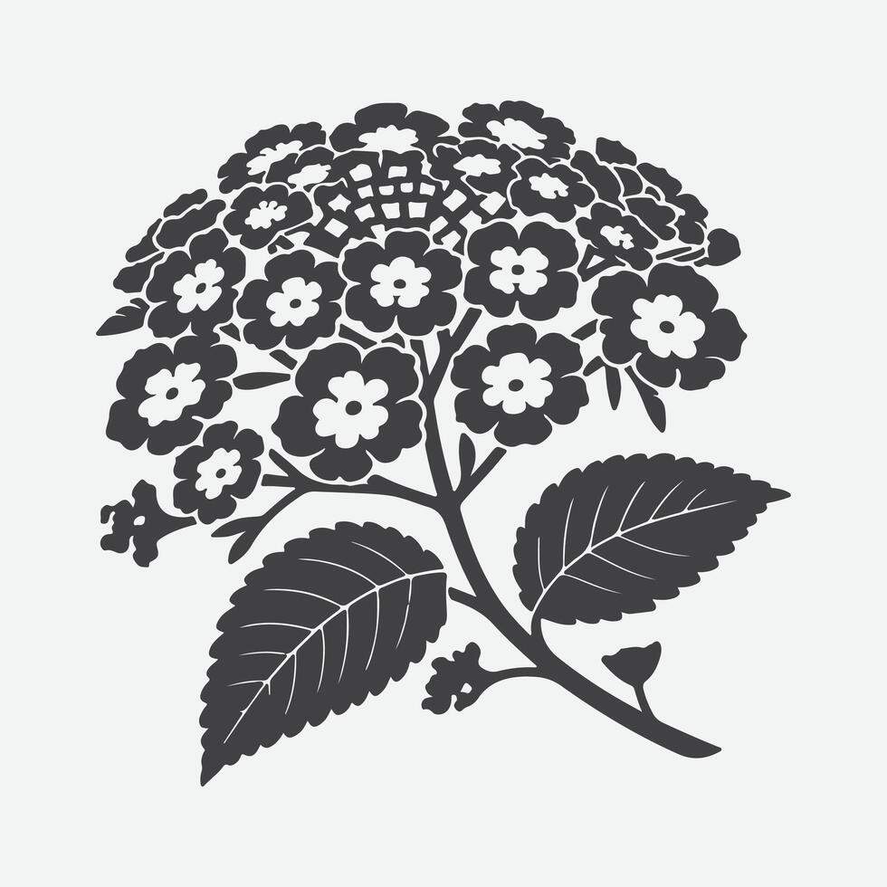 Print Enchanting Lantana Flower Silhouette, A Visual Symphony of Nature's Elegance vector