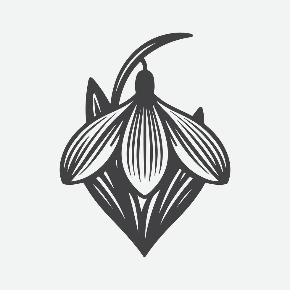 Graceful Elegance, The Mesmerizing Silhouette of Snowdrop Flowers vector