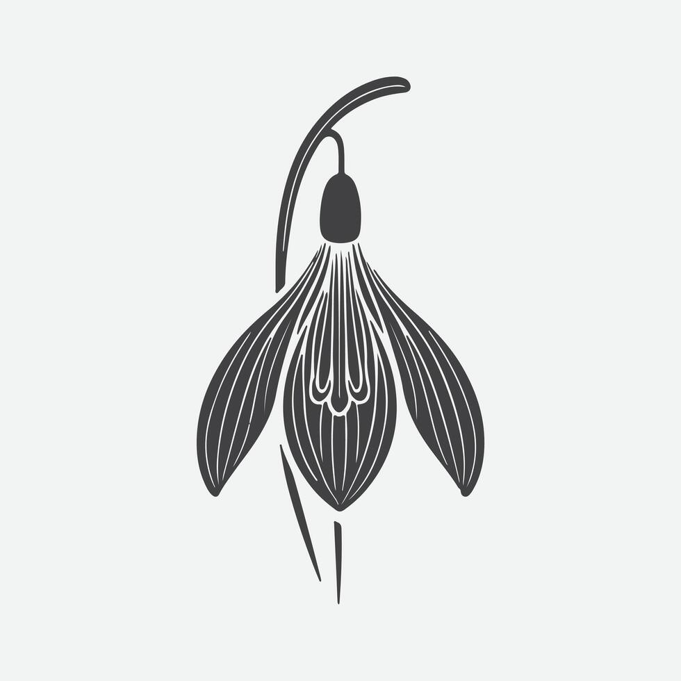 Graceful Elegance, The Mesmerizing Silhouette of Snowdrop Flowers vector