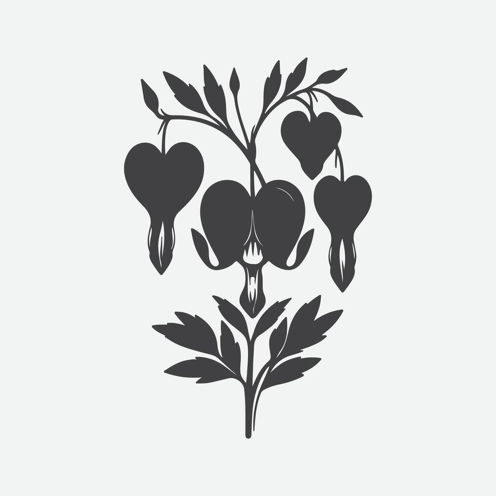 Print Enchanting Elegance, The Striking Silhouette of the Bleeding Heart Flower vector