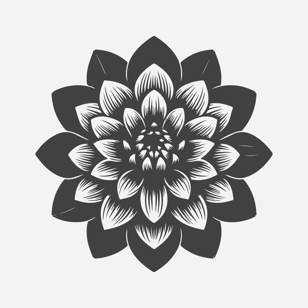 Majestic Dahlia Flower Silhouette, Capturing Nature's Elegance in Every Detail vector