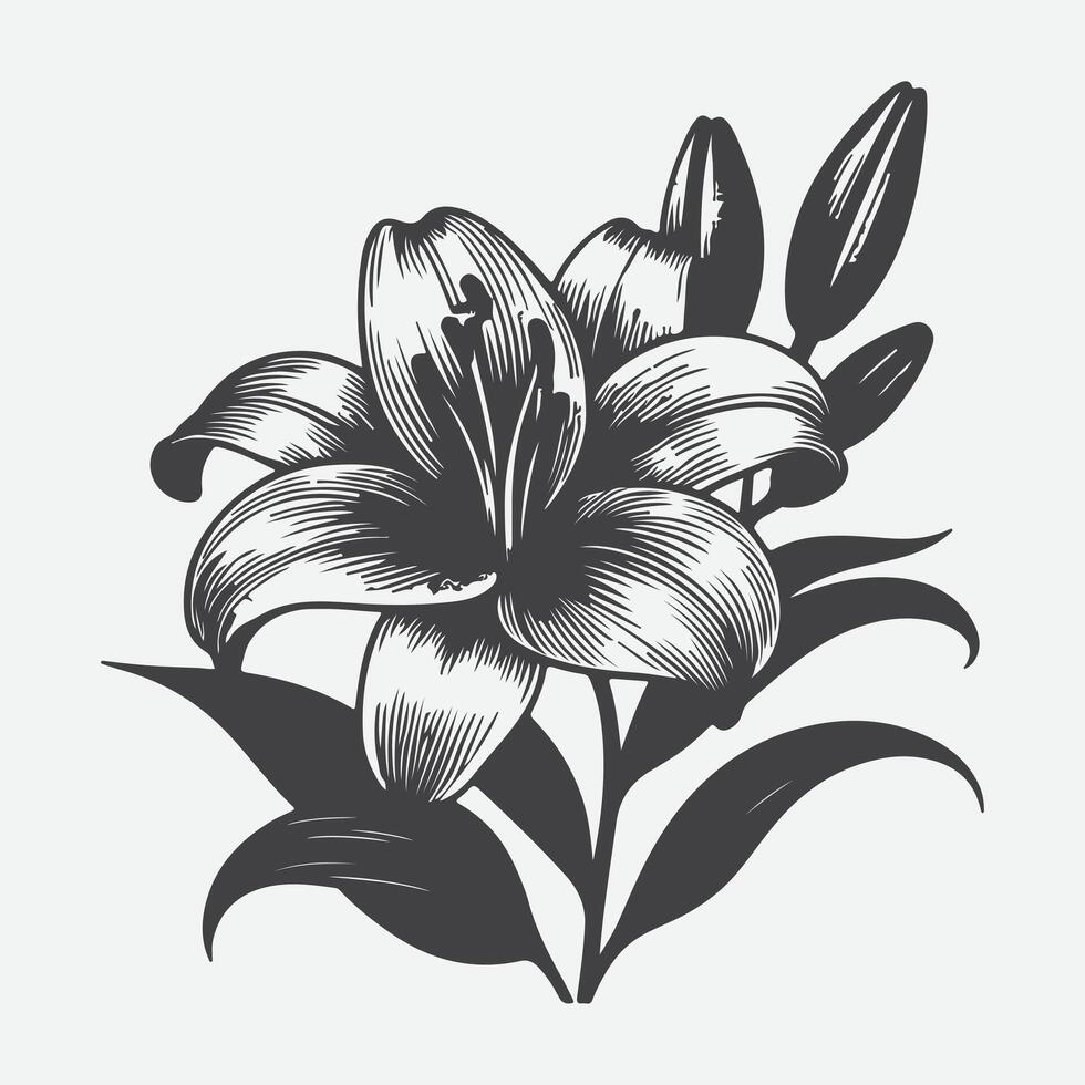 Print Elegant Lily Flower Silhouette, Timeless Beauty in Black and White vector