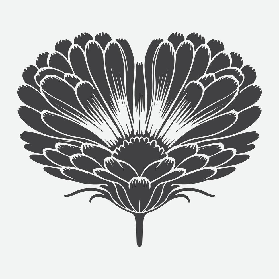 Print Stunning Silhouette, The Majestic Beauty of the Calendula Heart Flower vector