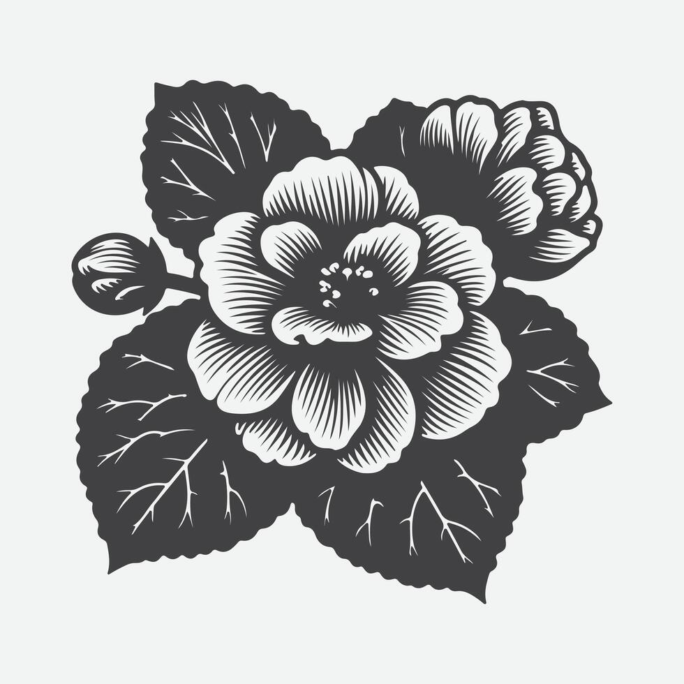 Elegant Begonia Flower Silhouette, A Captivating Display of Nature's Grace vector